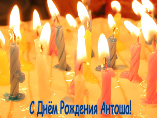 ��������: