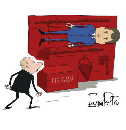 ��������: