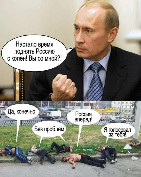 ��������: