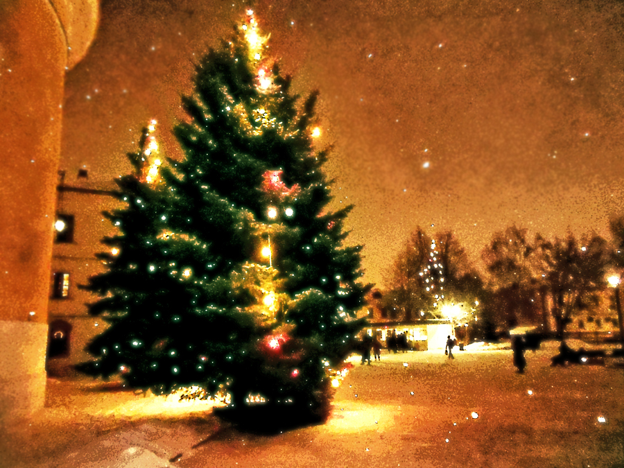 ��������: