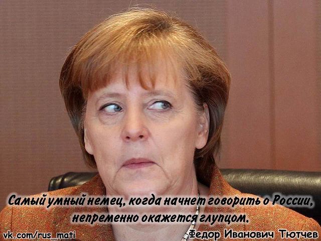 ��������: