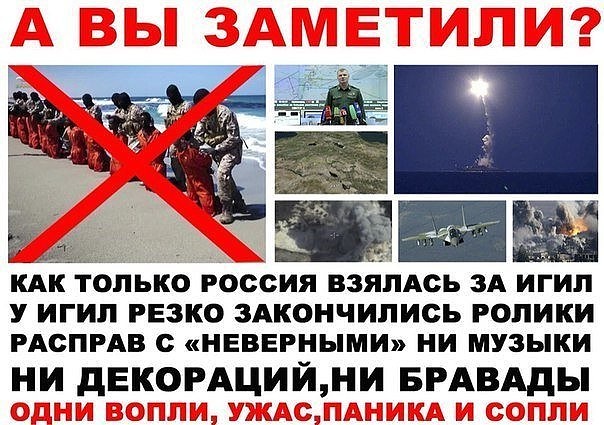 ��������: