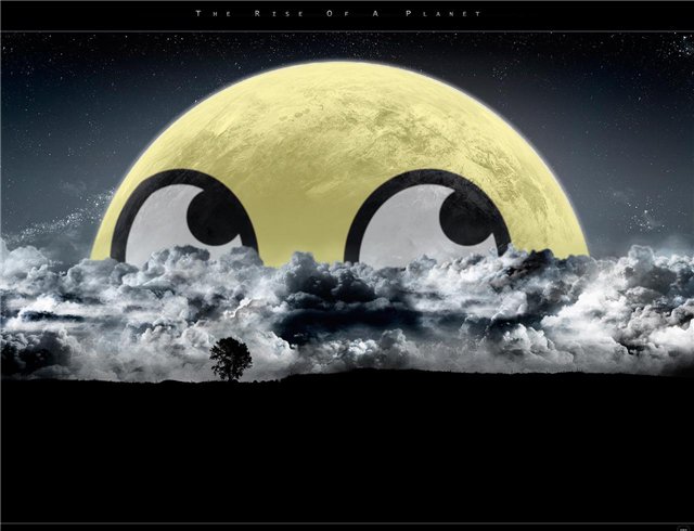 ��������: