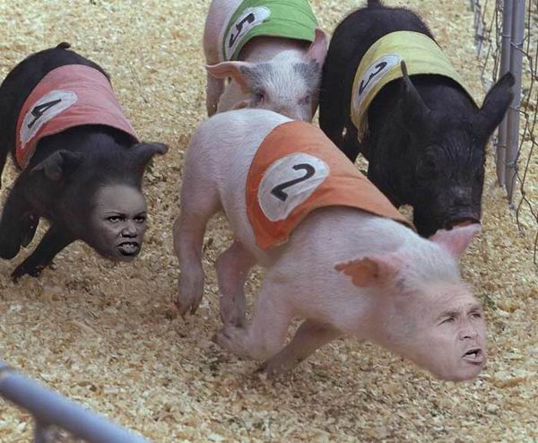 ��������:��� �������?