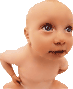��������: