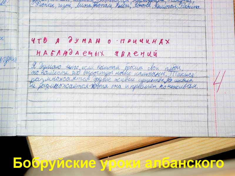 ��������: