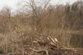 Файл=img_6974.jpg
Объём=317КБ
Размеры=700x465
Дата=Апр 08, 2007 img_6974.jpg