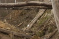 Файл=img_6994.jpg
Объём=314КБ
Размеры=700x465
Дата=Апр 08, 2007 img_6994.jpg