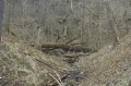 Файл=img_7000.jpg
Объём=315КБ
Размеры=700x465
Дата=Апр 08, 2007 img_7000.jpg