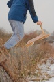 img_7352-01.jpg