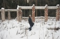 Файл=img_0347.jpg
Объём=291КБ
Размеры=711x472
Дата=Янв 05, 2008 img_0347.jpg