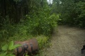 Файл=img_8030.jpg
Объём=292КБ
Размеры=700x465
Дата=Июль 23, 2007 img_8030.jpg