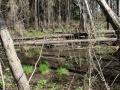 Файл=dsc05683.jpg
Объём=1086КБ
Размеры=1600x1200
Дата=Май 22, 2011 dsc05683.jpg