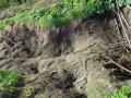 Файл=dsc05686.jpg
Объём=1064КБ
Размеры=1600x1200
Дата=Май 22, 2011 dsc05686.jpg