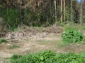 Файл=dsc05689.jpg
Объём=1096КБ
Размеры=1600x1200
Дата=Май 22, 2011 dsc05689.jpg