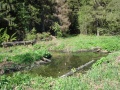 Файл=dsc05698.jpg
Объём=1100КБ
Размеры=1600x1200
Дата=Май 22, 2011 dsc05698.jpg
