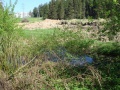 Файл=dsc05703.jpg
Объём=1083КБ
Размеры=1600x1200
Дата=Май 22, 2011 dsc05703.jpg