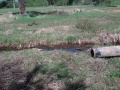 Файл=dsc05704.jpg
Объём=1058КБ
Размеры=1600x1200
Дата=Май 22, 2011 dsc05704.jpg