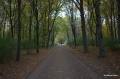 Файл=28-IMG_3612.jpg
Объём=508КБ
Размеры=1600x1066
Дата=Нояб 19, 2012 28-IMG_3612.jpg