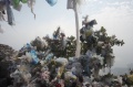 Файл=img_8952.jpg
Объём=74КБ
Размеры=700x465
Дата=Сент 19, 2007 img_8952.jpg