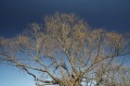 Файл=img_6692.jpg
Объём=296КБ
Размеры=700x465
Дата=Март 27, 2007 img_6692.jpg