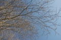 Файл=img_6757.jpg
Объём=338КБ
Размеры=700x465
Дата=Март 27, 2007 img_6757.jpg