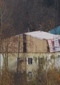 Файл=IMG_4279-2.jpg
Объём=314КБ
Размеры=548x772
Дата=Окт 26, 2008 IMG_4279-2.jpg