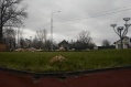Файл=IMG_4752.jpg
Объём=902КБ
Размеры=1382x918
Дата=Нояб 16, 2008 IMG_4752.jpg