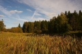 Файл=img_6881.jpg
Объём=163КБ
Размеры=700x465
Дата=Сент 18, 2006 img_6881.jpg