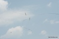 Файл=IMG_7953.jpg
Объём=559КБ
Размеры=1600x1063
Дата=Июнь 13, 2010 IMG_7953.jpg