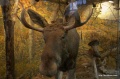 Файл=img_9566.jpg
Объём=1158КБ
Размеры=1600x1065
Дата=Май 09, 2011 img_9566.jpg