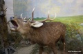 Файл=img_9569.jpg
Объём=1377КБ
Размеры=1600x1065
Дата=Май 09, 2011 img_9569.jpg