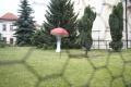 Файл=img_0144.jpg
Объём=6485КБ
Размеры=3456x2304
Дата=Июнь 21, 2011 img_0144.jpg