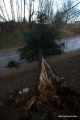 Файл=IMG_6975.jpg
Объём=342КБ
Размеры=800x1200
Дата=Апр 25, 2010 IMG_6975.jpg