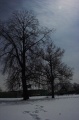 Файл=img_0569-02.jpg
Объём=469КБ
Размеры=1065x1600
Дата=Фев 14, 2006 img_0569-02.jpg