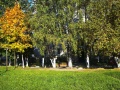 img_6962.jpg