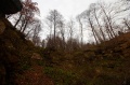 Файл=img_7127.jpg
Объём=189КБ
Размеры=700x465
Дата=Окт 29, 2006 img_7127.jpg