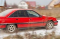 img_7194.jpg