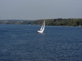 Файл=2493.jpg
Объём=118КБ
Размеры=800x600
Дата=Сент 10, 2008 2493.jpg