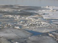 Файл=IMG_0336.JPG
Объём=71КБ
Размеры=640x480
Дата=Март 26, 2008 IMG_0336.JPG