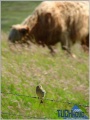 Файл=photo20.jpg
Объём=35КБ
Размеры=450x600
Дата=Июль 20, 2006 photo20.jpg