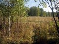 Файл=p1010004.jpg
Объём=385КБ
Размеры=700x525
Дата=Фев 26, 2006 p1010004.jpg