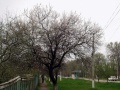 Файл=p1010007.jpg
Объём=430КБ
Размеры=1024x768
Дата=Май 24, 2006 p1010007.jpg