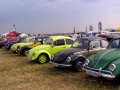 Файл=p1010173.jpg
Объём=192КБ
Размеры=800x600
Дата=Июль 12, 2006 p1010173.jpg