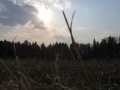Файл=img_1151.jpg
Объём=182КБ
Размеры=1136x852
Дата=Июль 01, 2006 img_1151.jpg