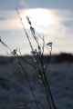 Файл=IMG_1136.JPG
Объём=95КБ
Размеры=512x768
Дата=Янв 11, 2011 IMG_1136.JPG