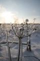 Файл=IMG_1141.JPG
Объём=123КБ
Размеры=512x768
Дата=Янв 11, 2011 IMG_1141.JPG