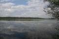 Файл=IMG_5038.JPG
Объём=176КБ
Размеры=768x512
Дата=Май 12, 2008 IMG_5038.JPG