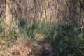 Файл=img_1449.jpg
Объём=339КБ
Размеры=768x512
Дата=Март 26, 2007 img_1449.jpg
