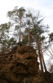 Файл=img_1569.jpg
Объём=237КБ
Размеры=483x742
Дата=Апр 09, 2007 img_1569.jpg